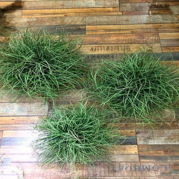 Ри-49/530 Искусственный зеленый  соломенный шарик